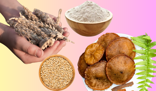 गेहूं की उत्पत्ति 