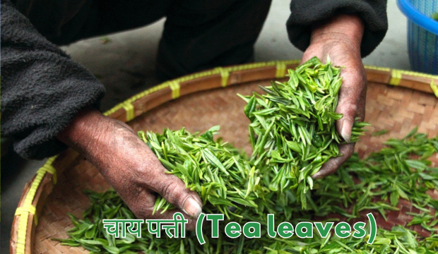 tea