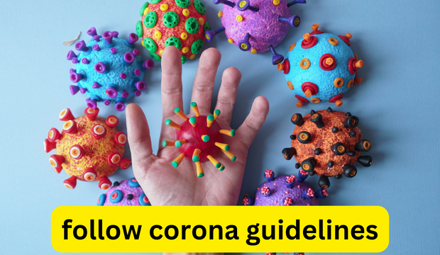 New variant of Corona JN.1