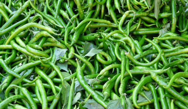 सर्दी से बचने के उपाय