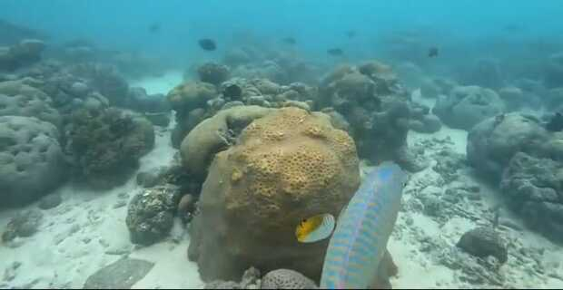 Lakshadweep