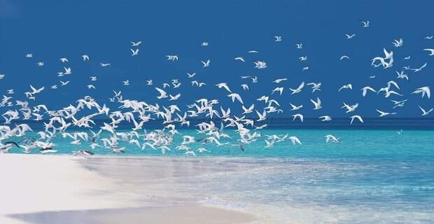 Maldives