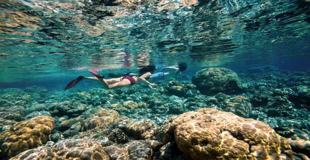Maldives