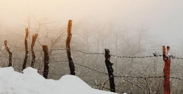 Cold Wave