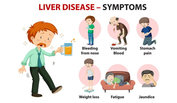 Liver