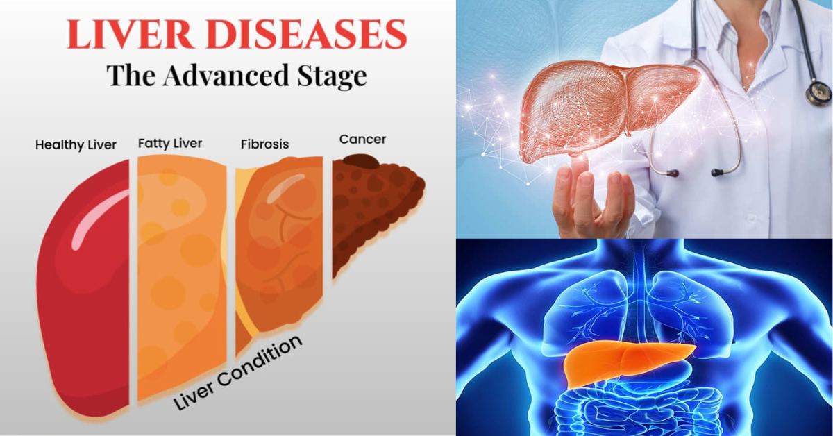 Liver