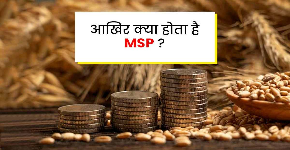 MSP