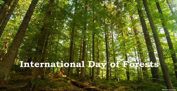 World Forestry Day 2024