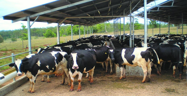 UP Gopalak Yojana