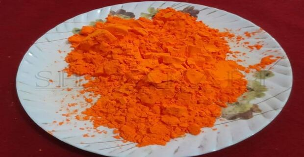 Holi 2024