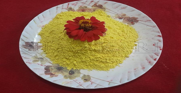 Holi 2024