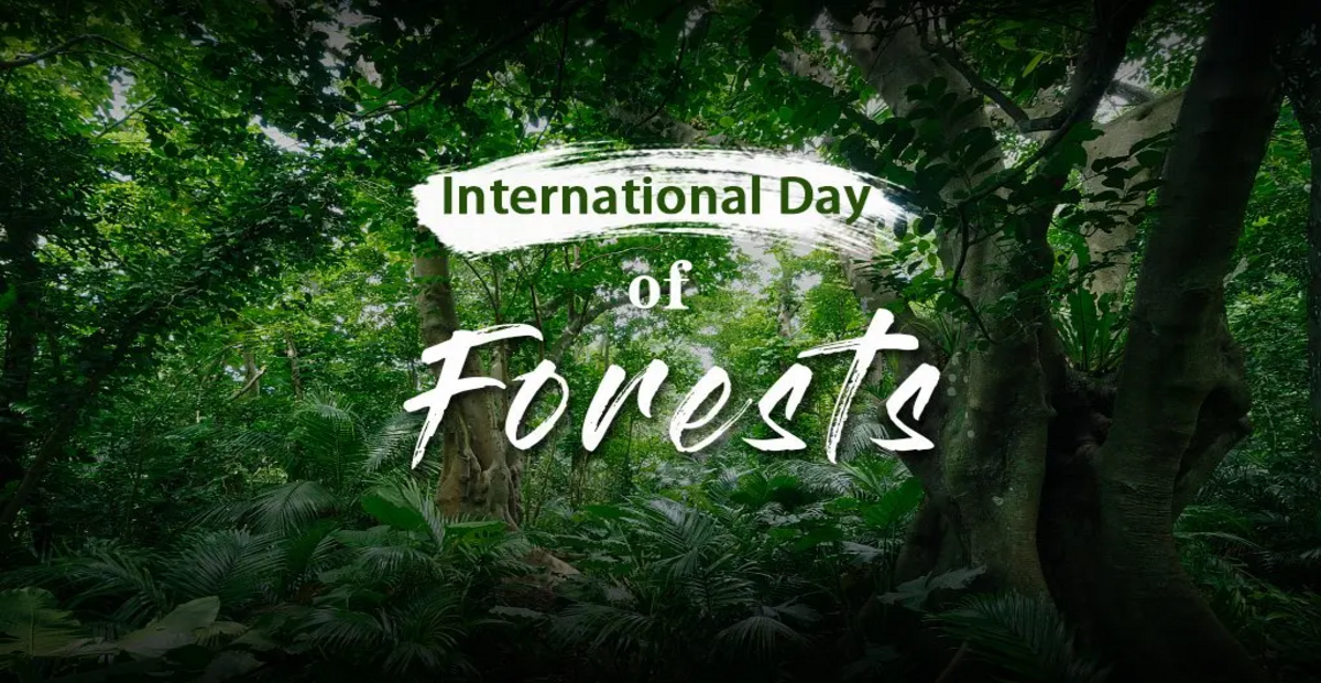 World Forestry Day 2024