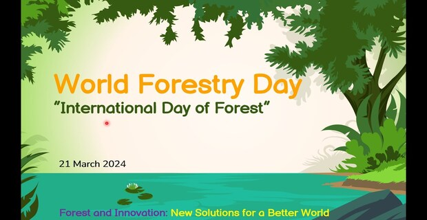 World Forestry Day 2024